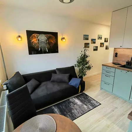 Kawalerka Pod Kocykiem