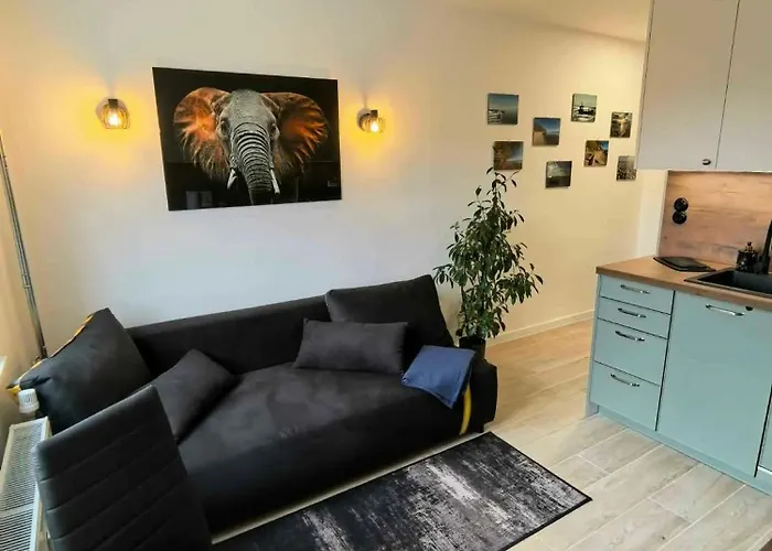 Kawalerka Pod Kocykiem